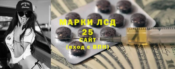 прущие грибы Осинники