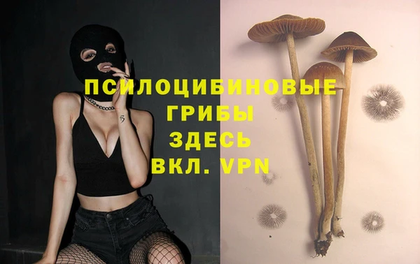 mdpv Волоколамск